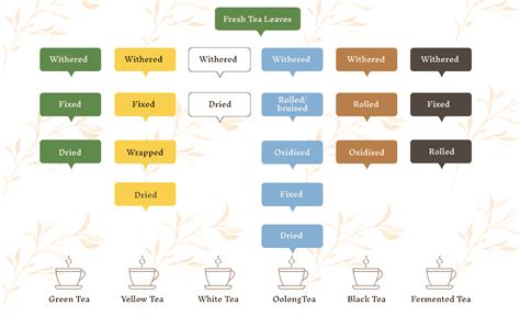 Assam, Oolong or Tisane? Types of Tea You Should Know - The Hillcart Tales Blog