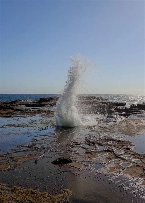 Kiama Coastal Walk: Everything You Need to Know ([date-today format='Y'])