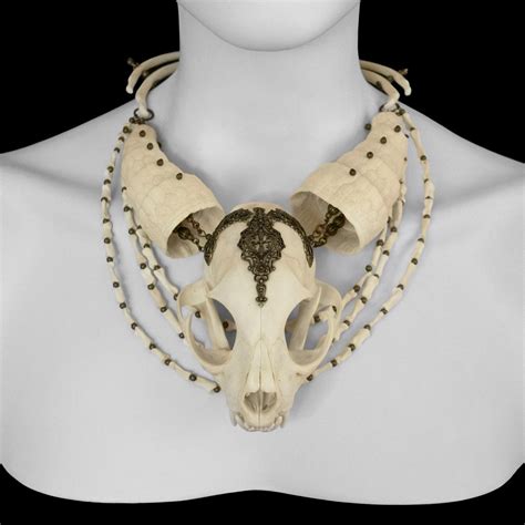 "Shuri" Bobcat & Armadillo Bone Necklace / Ossuaria