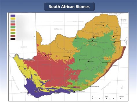 Biomes of South Africa Diagram | Quizlet