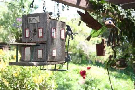 Where To Hang A Hummingbird House (Safest Locations) - Gardenia Organic