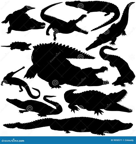 Detailed Vectoral Crocodile Silhouettes Stock Vector - Illustration of cayman, hunt: 9058571