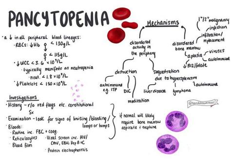 Pancytopenia - MEDizzy