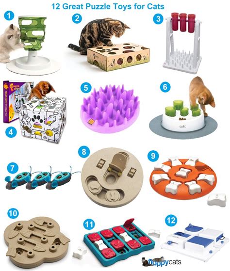 Puzzle Toys for Cats | Cat Games | Cat Interactive Toys | Diy cat toys ...