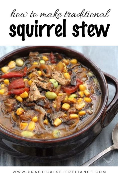 Squirrel Stew, Squirrel Food, Squirrel Hunting, Squirrel Dumplings Recipe, Stew Recipes Crockpot ...