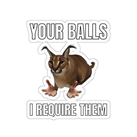 Big Floppa, Cat Meme, Your Balls I Require Them, Cat in the Tub Sticker - Etsy