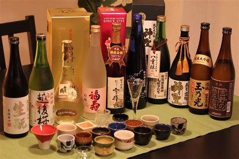 Saquê O Fermentado Japonês - Drinklandia Bartenders