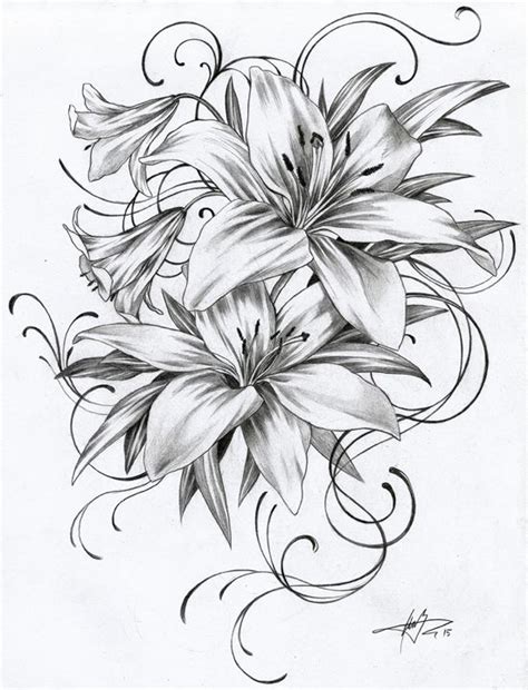 Lily Flower Tattoo Drawing - Infoupdate.org