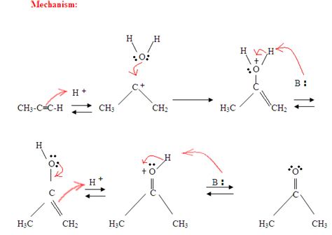 Hydration of Alkynes | MCC Organic Chemistry