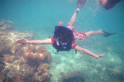 Snorkeling @ Karimun Jawa, Indonesia#HeavenOnEarth | Karimun jawa