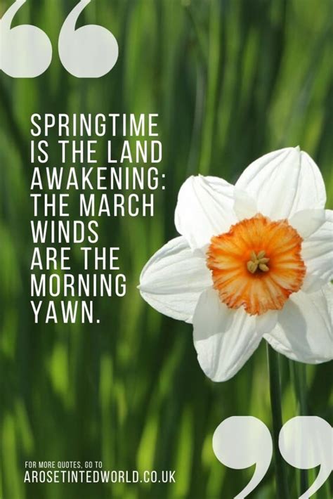 Spring Quotes To Uplift And Inspire ⋆ A Rose Tinted World