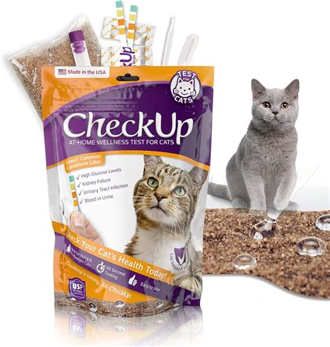 Urinary Health Cat Food: Ultimate Solution for Cat's Well-being