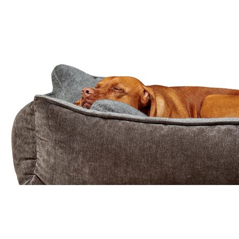 Bowsers B-Lounge Dog Bed – (available in 7 colors) | My Wholesome Pet