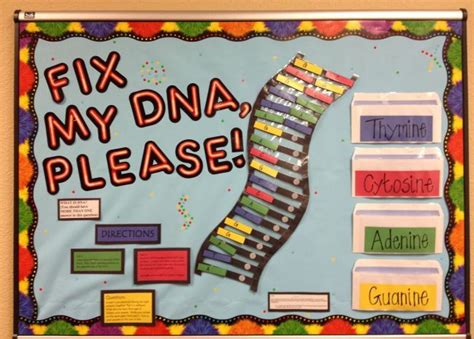 a bulletin board that says fix my dna please