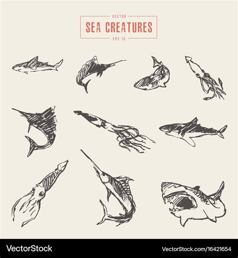 Set realistic sea creatures drawn sketch Vector Image