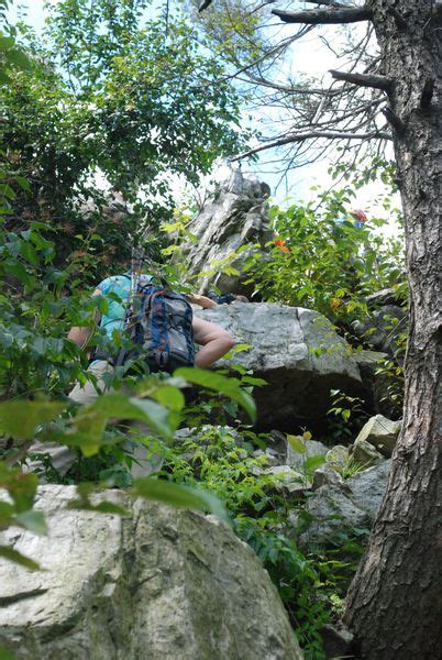 steep incline just before North Lookout Mountain Hiking, Steep, Lookout, Hawk, North, Sneakers ...