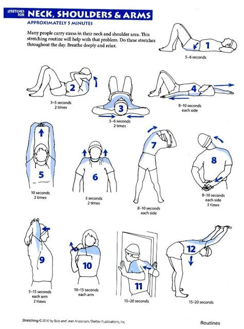 Stretches | Post workout stretches, Shoulder stretches, Neck exercises