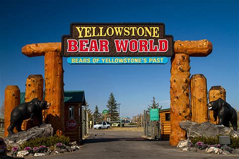 Yellowstone Bear World – InnTrusted