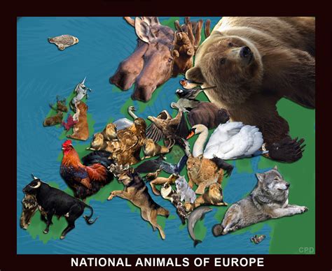 National Animals of Europe [OC] : MapPorn