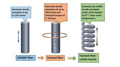 Fabrication Procedure And Actu [IMAGE] | EurekAlert! Science News Releases