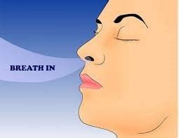 Benefits of Breathing Through Your Nose | Warren NJ Sleep Specialist