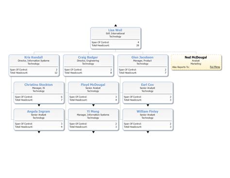 Create a Matrix Organizational Chart: Matrix Structure Guide