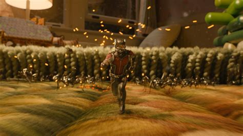 Ant-Man's Bad Biology Defeats Good Superhero Movies