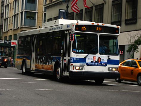 The B75 Bus Lives On + Old Stuff - Bus Photos & Videos - NYC Transit Forums