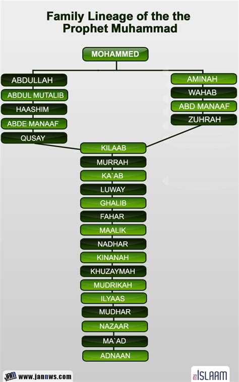 Family Lineage of the Prophet Muhammad - My Islaam