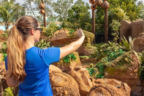 PHOTOS: Walt Disney Imagineering Testing Journey of Water Inspired by ‘Moana’ at EPCOT - Disney ...