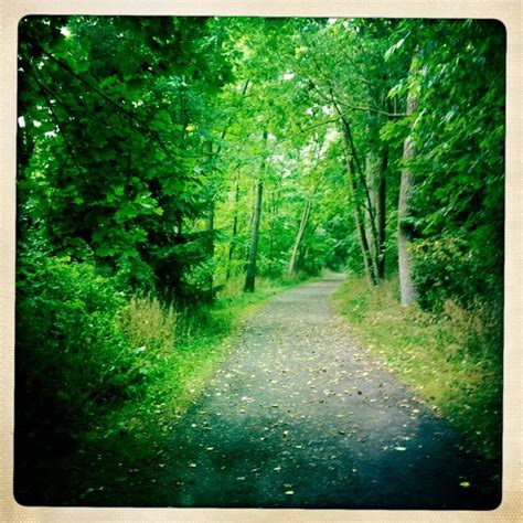 Ithaca trails NY | Wonderful places, Country roads, Ithaca