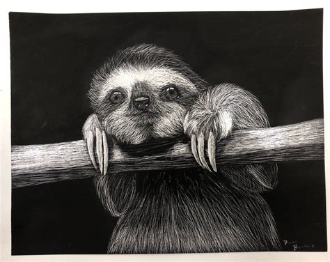 cross-hatching drawing sloth - Google Search