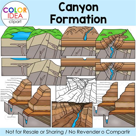 Canyon Formation | Made By Teachers