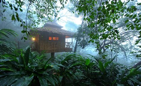 Treehouse stays for your next weekend break | Condé Nast Traveller India | India Jungle Tree ...