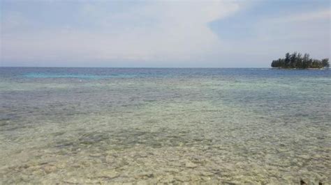 Utila Pictures - Traveler Photos of Utila, Bay Islands - TripAdvisor