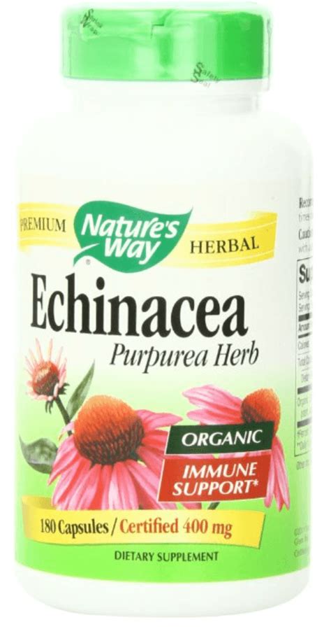 Echinacea Benefits: Cold & Flu Relief | All Natural Ideas