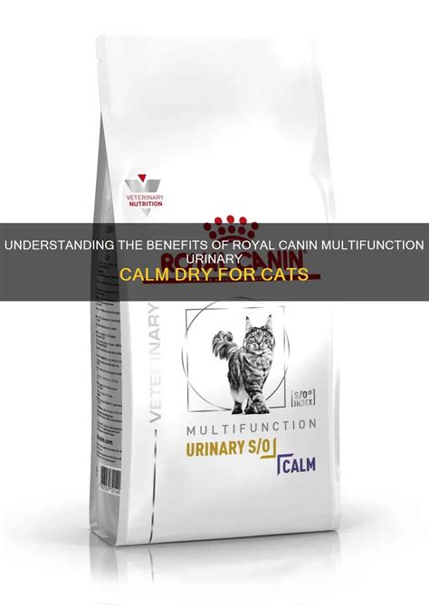 Understanding The Benefits Of Royal Canin Multifunction Urinary Calm Dry For Cats | PetShun