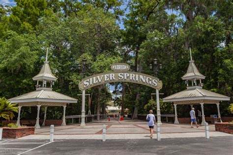 The Springs inside the Silver Springs State Park - Gate to Adventures