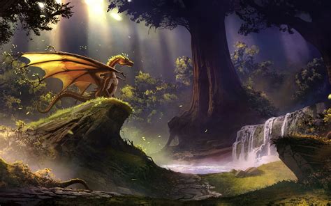 1440x900 Dragon In Magical Forest Wallpaper,1440x900 Resolution HD 4k Wallpapers,Images ...