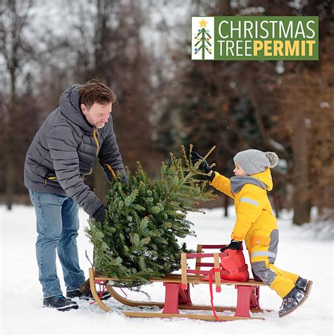 Forest Christmas tree permits now available | Coeur d'Alene Press