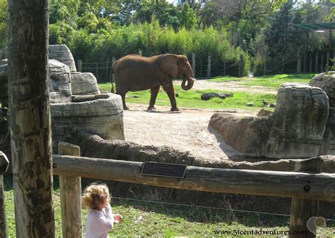 51 Cent Adventures: Cameron Park Zoo - Waco, Texas