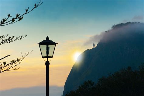 Silhouette of Street Lamp Beside Tree · Free Stock Photo