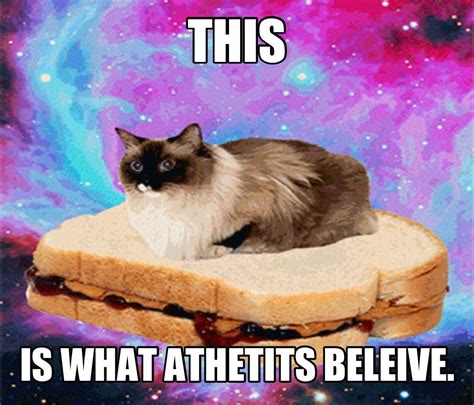 Who needs Jahweh when you've got a cat riding a peanut butter sandwich? | Space cat, Crazy cats ...