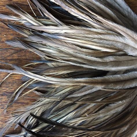 50 Emu Feathers 6-7 Inches Real Feathers Extensions Natural | Etsy