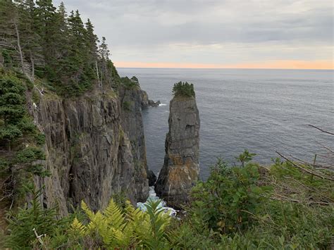 Early Morning on the Avalon Peninsula (East Coast Trail, Newfoundland, Canada) : r/hiking