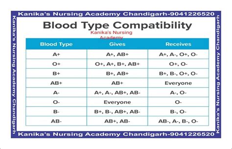 Blood type Chart - Kanika's Nursing Academy