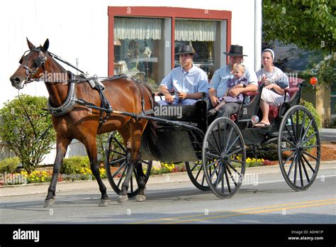 Amish Horse And Buggy Stencils