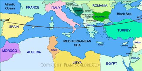 Types: Map of the Mediterranean Region- Ornamental Plant Information from PlantsGalore.Com