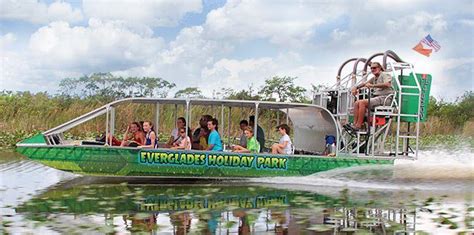 Best time of year to see wildlife on airboat rides – Artofit