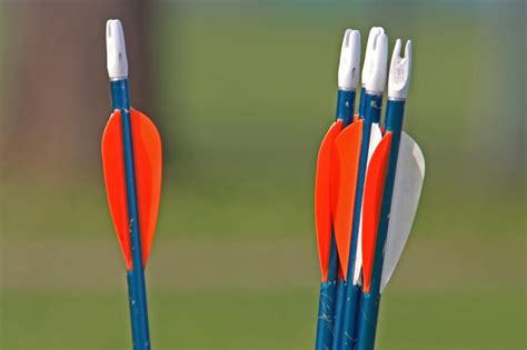 Why Do Arrows Bend in Archery? – Archery & Bow